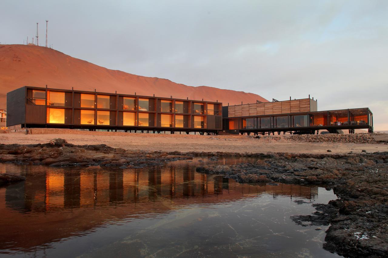 Hotel Apacheta Arica Eksteriør billede